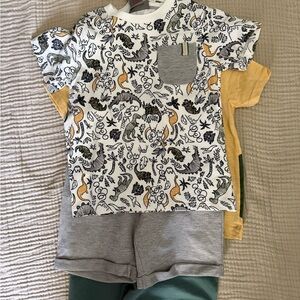 3T 4 piece set - Dino Print